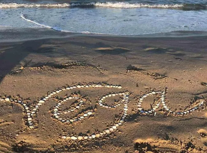 Vega * Созопол